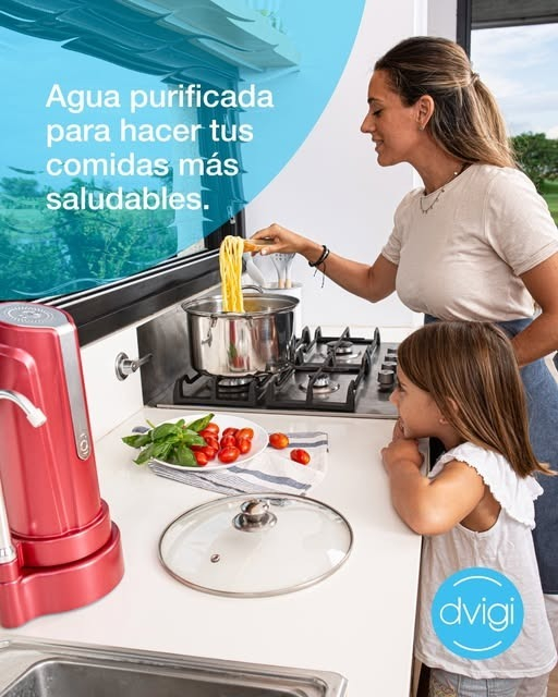 Filtro Purificador De Agua Sobre Mesada Dvigi Aqua Plateado
