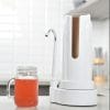 Repuesto Purificador De Agua Filtro Elimina Arsénico | Dvigi Color Gris Oscuro